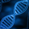 DNA strand.